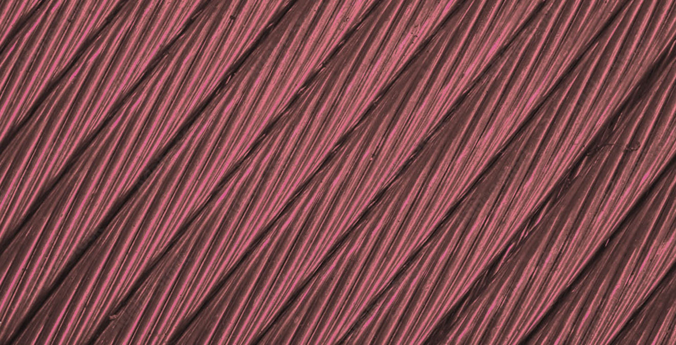 ¿Cómo usar las etiquetas/ tags en WordPress estratégicamente?